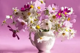 imagens jigsaw puzzle