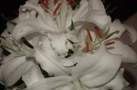 azucenas jigsaw puzzle