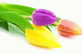 Colors jigsaw puzzle