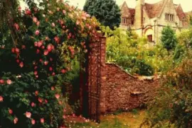 ä¸–ç•Œé¢¨æ™¯