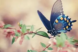 ä¸–ç•Œé¢¨æ™¯