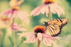 ä¸–ç•Œé¢¨æ™¯