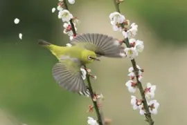 ä¸–ç•Œé¢¨æ™¯