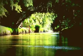 Arroyo Rama Negra. Buenos Aires. Argentina