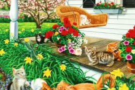 gatos jigsaw puzzle