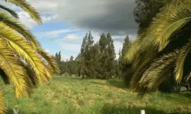 Paisaje jigsaw puzzle