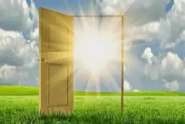 NATUREZA jigsaw puzzle