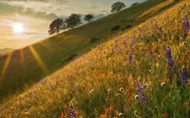 imagens jigsaw puzzle