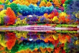 imagens jigsaw puzzle