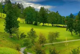 imagens jigsaw puzzle