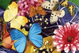 פאזל של mariposas