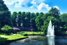 Sweden jigsaw puzzle