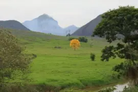 imagens jigsaw puzzle