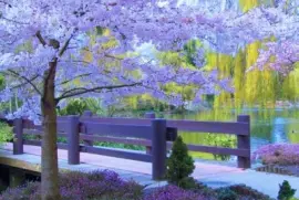 imagens jigsaw puzzle