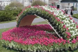 imagens jigsaw puzzle