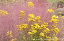 imagens jigsaw puzzle