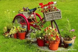 CenÃ¡rio jigsaw puzzle