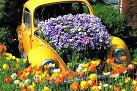 CenÃ¡rio jigsaw puzzle