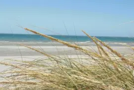 En Puerto Madryn. Chubut. Argentina jigsaw puzzle