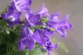 imagens jigsaw puzzle