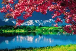 Nature jigsaw puzzle