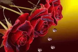 imagens jigsaw puzzle