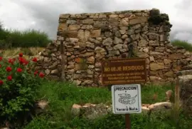 Â¡cuidado con las yararÃ¡s! jigsaw puzzle