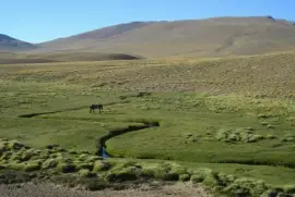 Llano Grande. Mendoza. Argentina jigsaw puzzle