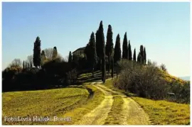 imagens jigsaw puzzle