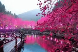 Pink view jigsaw puzzle