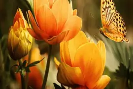 imagens jigsaw puzzle