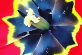 Flower jigsaw puzzle