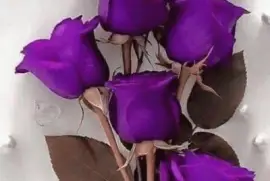 rosas7 jigsaw puzzle