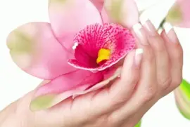 imagens jigsaw puzzle