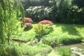 jardin zen jigsaw puzzle