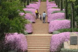 Marimurtra Botanical Garden, Spain jigsaw puzzle