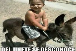 UN NIÃ‘O Y UN BURRO