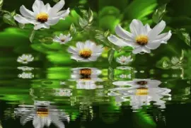 imagens jigsaw puzzle