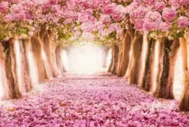 imagens jigsaw puzzle