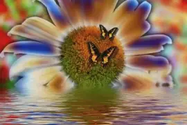 imagens jigsaw puzzle