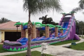 Inflatable Water Slide-Whee!