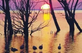 226 EPECUEN jigsaw puzzle