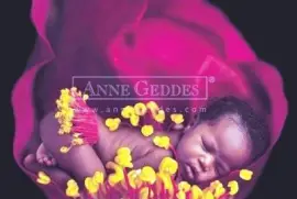 boccioli jigsaw puzzle