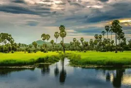 My Homelandâ€‹, Cambodia