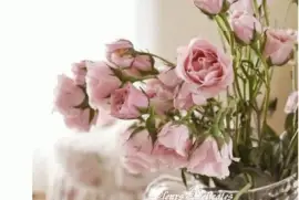 imagens jigsaw puzzle