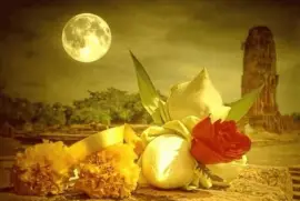 imagens jigsaw puzzle