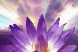 imagens jigsaw puzzle