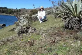 Laguna de MucubajÃ­