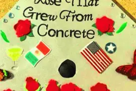 multicolor jigsaw puzzle