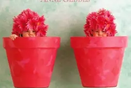 boccioli jigsaw puzzle